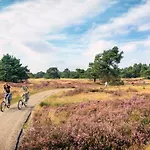 Sfeervol Op De Veluwe