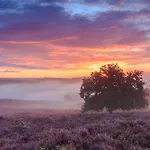 Sfeervol Op De Veluwe * Putten