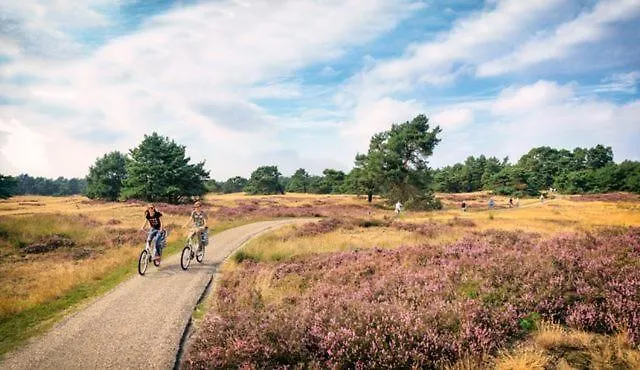 Sfeervol Op De Veluwe