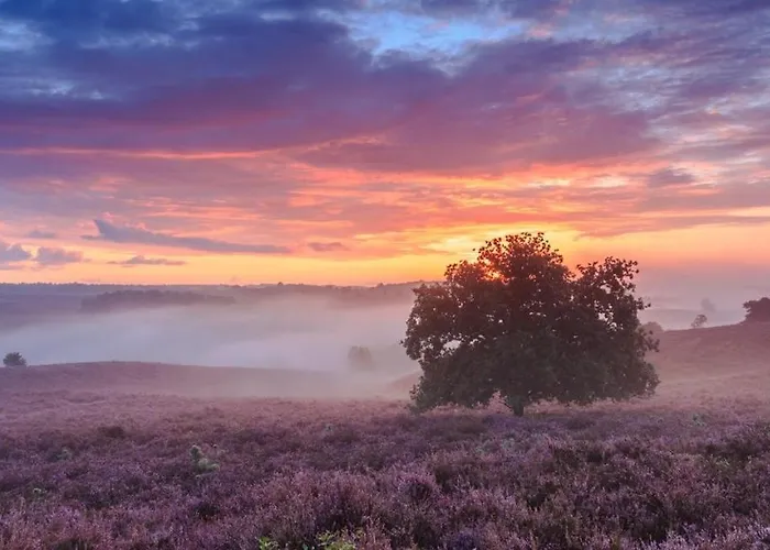 Sfeervol Op De Veluwe * Putten