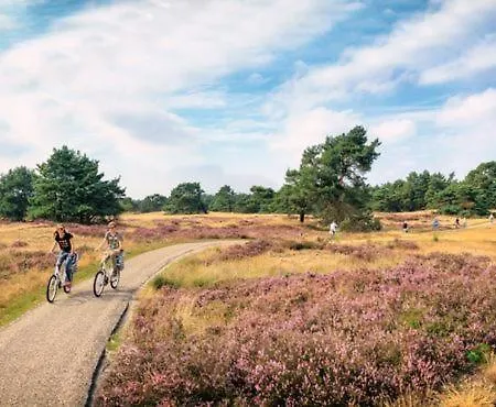 Sfeervol Op De Veluwe