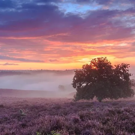 Sfeervol Op De Veluwe * Putten